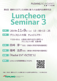 Luncheon Seminar 3